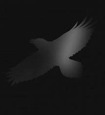 SIGUR ROS - Odin\'s raven magic